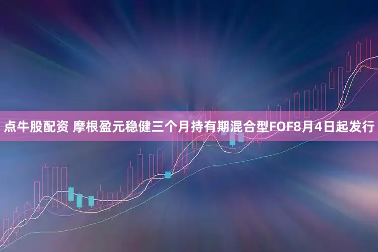 点牛股配资 摩根盈元稳健三个月持有期混合型FOF8月4日起发行